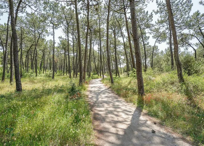 Дом отдыха In